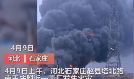 深圳黑厂爆料事件视频最新,揭秘恶劣劳动环境与非法用工黑幕
