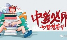 山东煎饼爆料视频最新消息,揭秘传统美食背后的故事与变迁