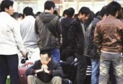 打工在线观看,揭秘现代职场生存法则与奋斗历程