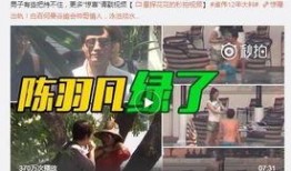 个人爆料今日说法视频大全,视频大全背后的真实故事