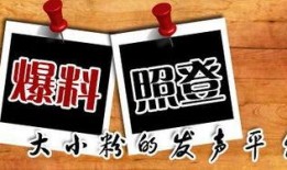 新闻爆料媒体,新闻爆料媒体背后的真相与挑战
