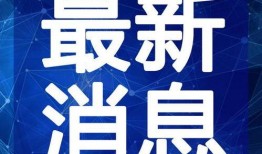 湖西路最新爆料事件视频,视频揭露惊人真相，事件背后有何隐情？