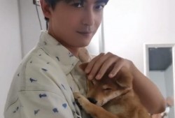 娱乐圈爆料李佳航,揭秘明星背后的故事