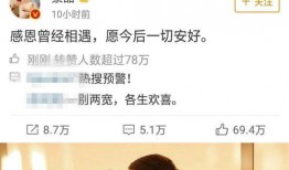 娱乐圈文综艺爽文吃瓜