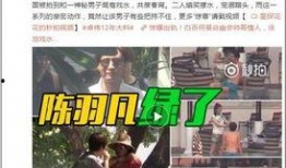 大灰人美国爆料视频播放,揭秘惊人内幕